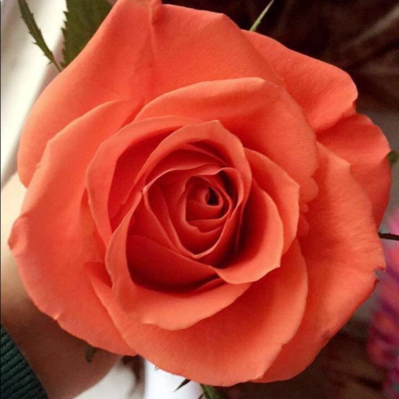 Meet your Posher, Karam - Picture 1 of 1